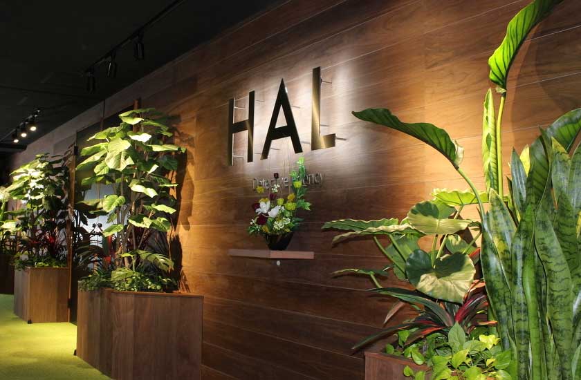HAL探偵社
