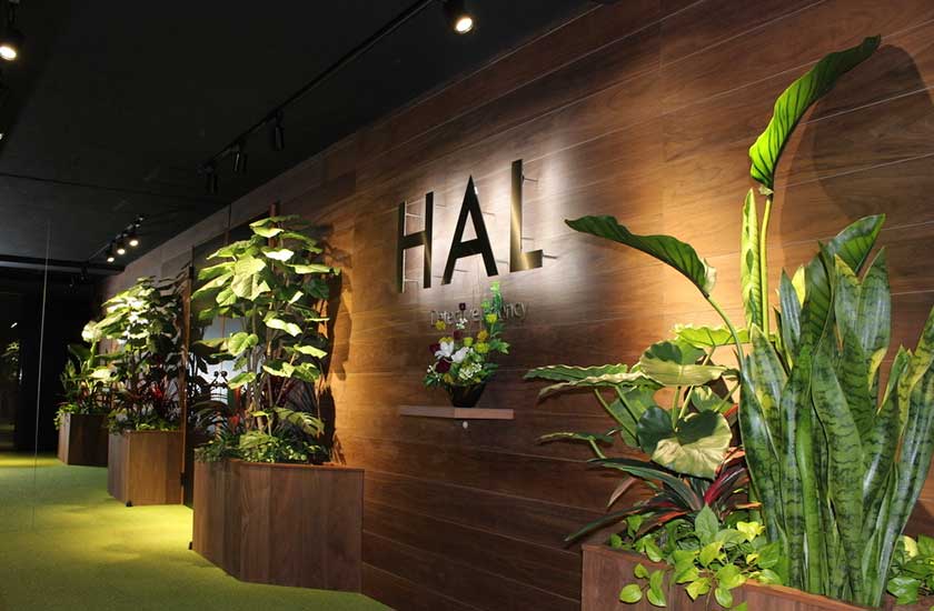 信用調査に強いHAL探偵社