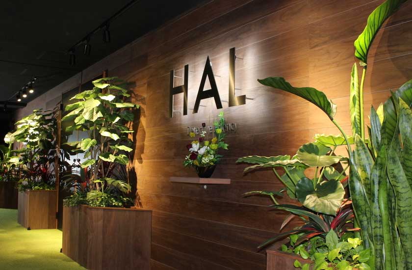HAL探偵社