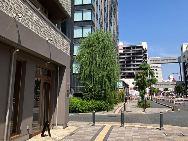 横断歩道を渡ると左手角に美容院（アンティガ）がありますので、角を左折します。