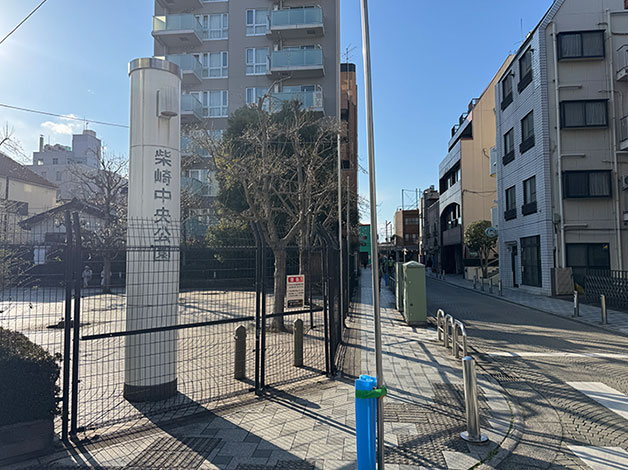 途中に「柴崎中央公園」があります。そのまま直進します。